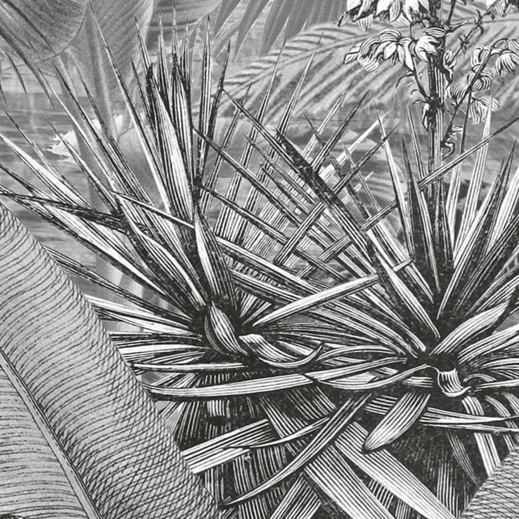 Komar Fotomural Amazonia Black and White 400x250 cm