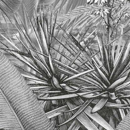 Komar Fotomural Amazonia Black and White 400x250 cm