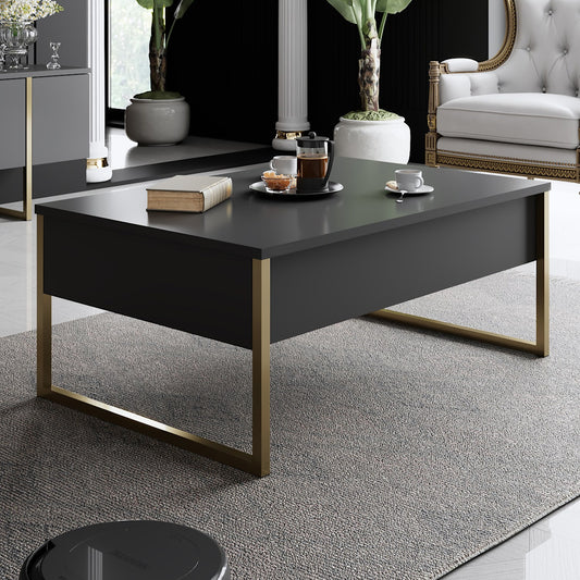 Mesa de Centro "Madrid" – Antracite e Dourado - 90x60x40 cm – Design Moderno