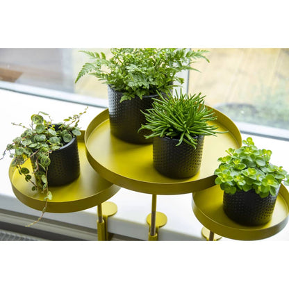 Esschert Design Tabuleiro p/ plantas redondo com braçadeira L dourado