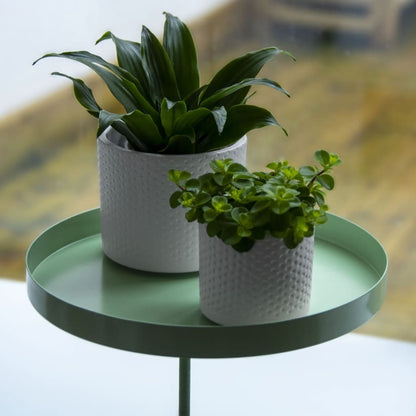 Esschert Design Tabuleiro para plantas redondo com braçadeira L verde