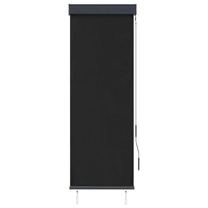 Estore de rolo para exterior 60x250 cm antracite