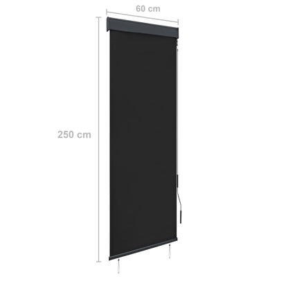 Estore de rolo para exterior 60x250 cm antracite