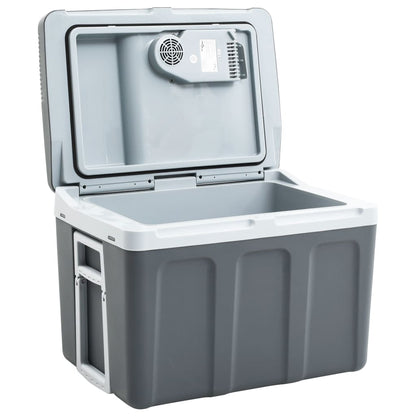 Refrigerador/mala térmica portátil 40 L 12 V 230 V E