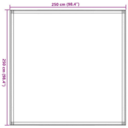 Tapete de campismo para tenda 250x250 cm PEAD bege