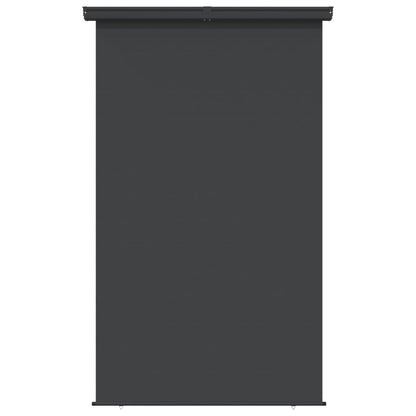 Toldo lateral para varanda 140x250 cm preto