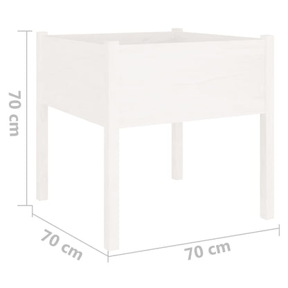 Vaso de jardim 70x70x70 cm madeira de pinho maciça branco