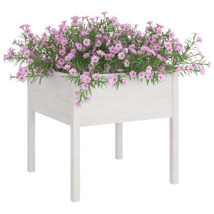 Vaso/floreira de jardim 2 pcs 70x70x70 cm pinho maciço branco