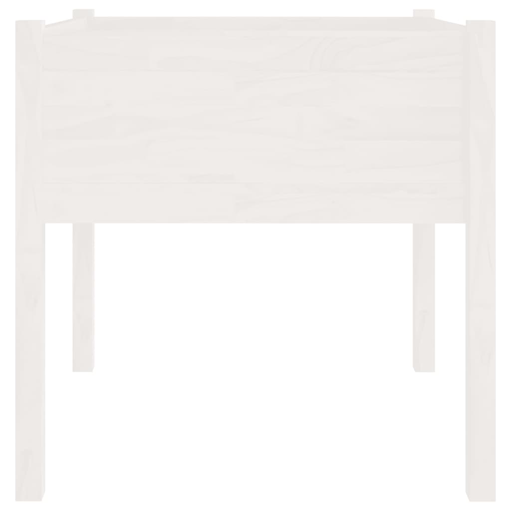 Vaso/floreira de jardim 2 pcs 70x70x70 cm pinho maciço branco