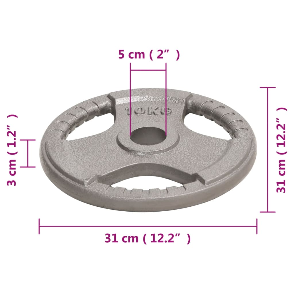 Discos de musculação olímpicos 2 pcs 20 kg ferro fundido