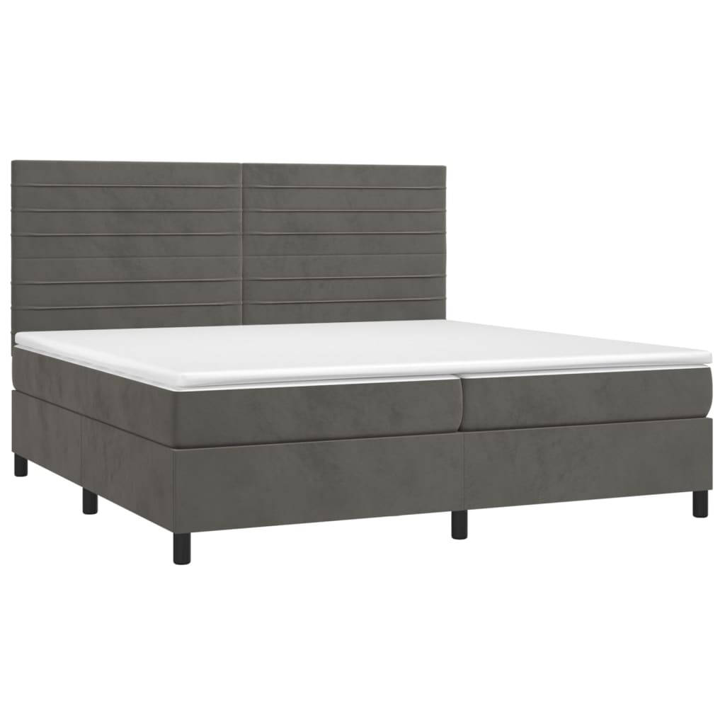 Cama box spring c/ colchão/LED 200x200cm veludo cinzento-escuro