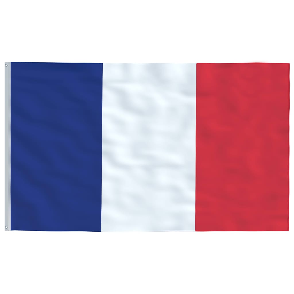 Bandeira da França e mastro 6,23 m alumínio