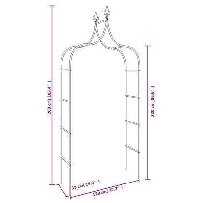 Arcos de jardim 2 pcs 120x38x260 cm aço preto