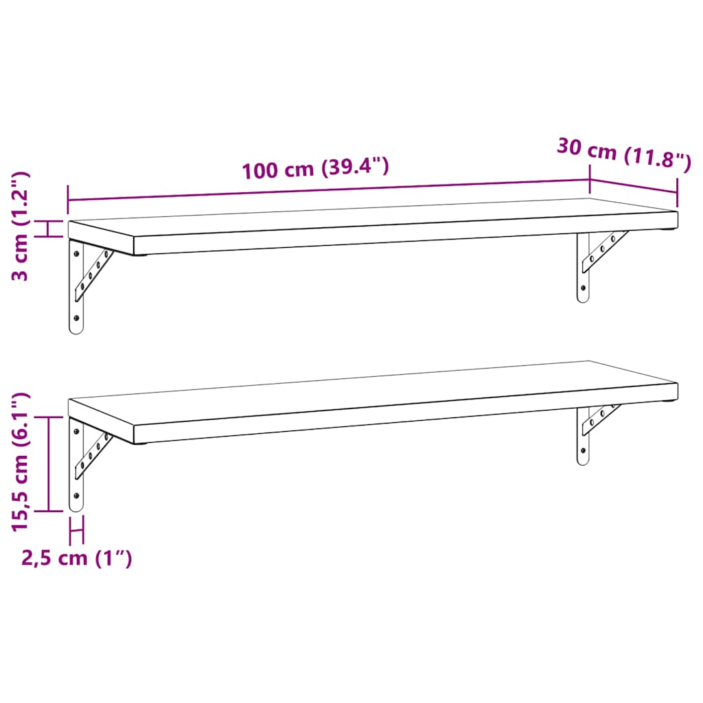 Prateleiras de parede 2 pcs 100x30 cm aço inoxidável prateado