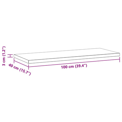 Prateleiras de parede 2 pcs 100x40x3 cm aço inoxidável prateado