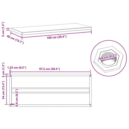 Prateleiras de parede 2 pcs 100x40x3 cm aço inoxidável prateado