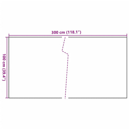 Tela de varanda 300x100 cm vime PE antracite