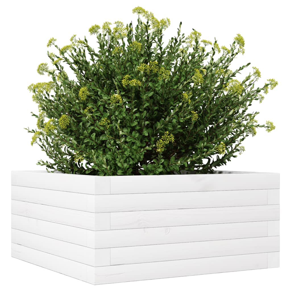 Vaso/floreira de jardim 50x50x23 cm pinho maciço branco