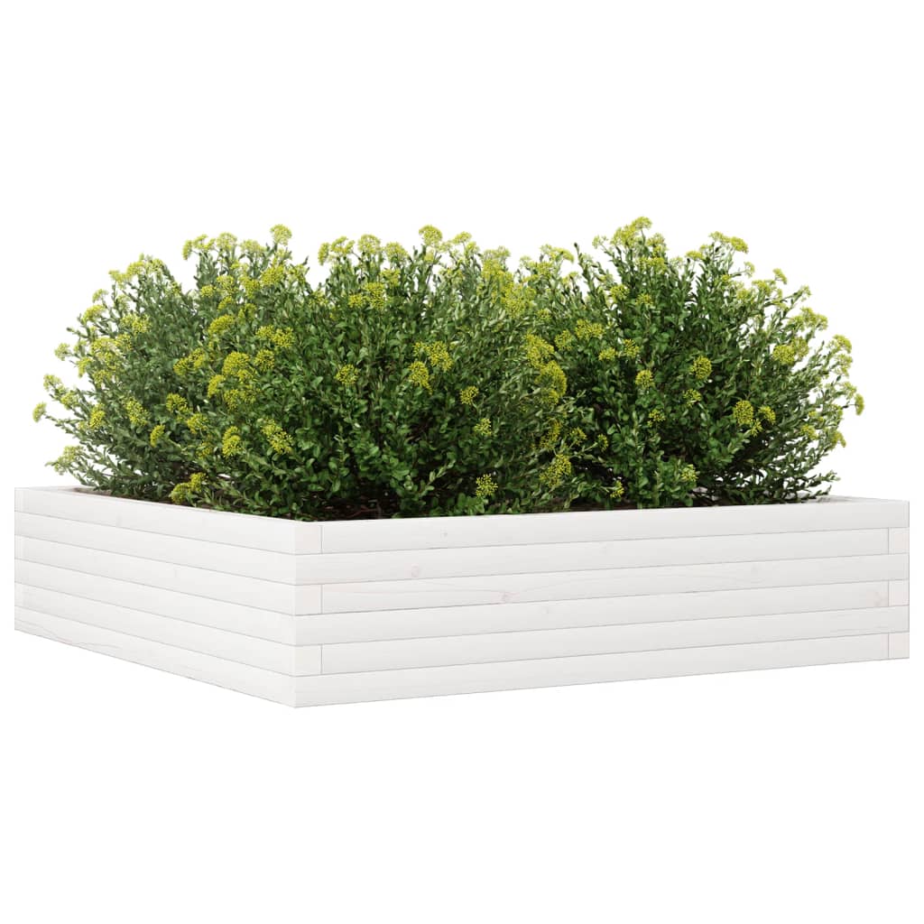 Vaso/floreira jardim 100x100x23 cm madeira pinho maciça branco