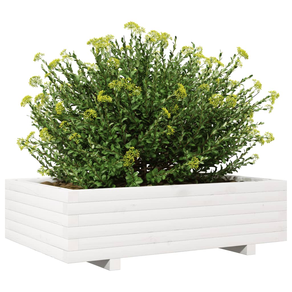 Vaso/floreira de jardim 90x60x26,5 cm pinho maciço branco