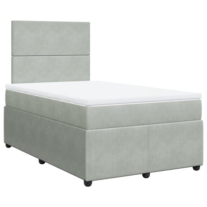 Cama boxspring com colchão 120x190 cm veludo cinzento-claro