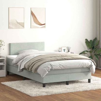 Cama boxspring c/ colchão 120x220 cm veludo cinzento-claro