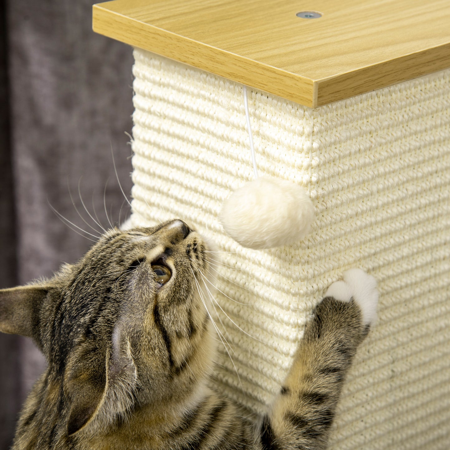 PawHut Poste Arranhador para Gatos Arranhador para Gatos de 80cm Árvore Arranhador para Gatos com Poste de Sisal e Bola Suspensa para Interior 38x38x80cm Carvalho