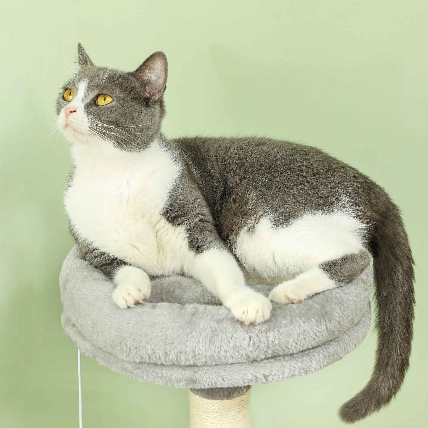 PawHut Arranhador para Gatos 110 cm Arranhador para Gatos Torre para Gatos com Ninho Caverna Plataforma Arranhador Bola Suspensa Cinza Claro