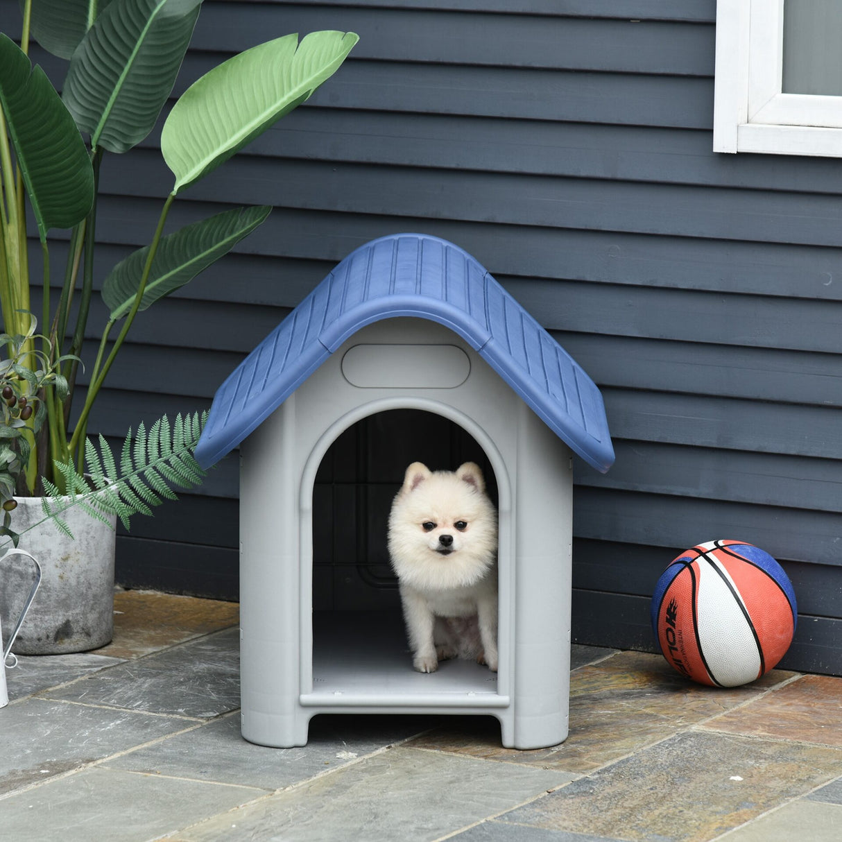 Casota para Cães de Pequeno Porte - Leva-Me Contigo - Móveis & Decoração